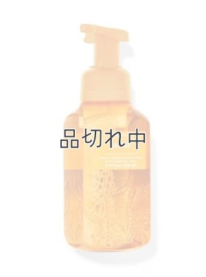 画像1: 【Bath&BodyWorks】フォーミングハンドソープ：リーブス