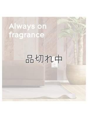 画像5: 【glade】プラグインオイルリフィル(5個入)：カシミアウッズ