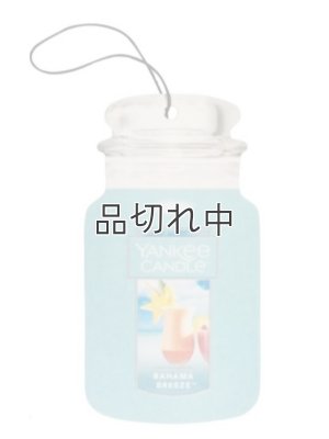 画像1: 【YANKEE CANDLE/ヤンキーキャンドル】カージャー(ペーパーサシェ)：バハマブリーズ