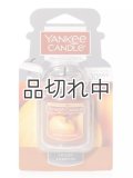 【YANKEE CANDLE】ネオカージャー：スパイスパンプキン
