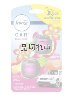 画像1: 【USファブリーズ】車用芳香剤(2個入り)：GAIN ゲインアイランドフレッシュ