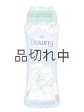 【Downy/ダウニー】セントブースター(加香剤)18.2oz：クールコットン