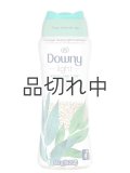 【Downy/ダウニー】セントブースター(加香剤)18.2oz：Light ウッドランドレイン