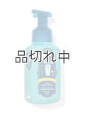 【Bath&BodyWorks】フォーミングハンドソープ：トリプルベリークーラー