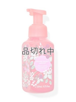 画像1: 【Bath&BodyWorks】フォーミングハンドソープ：ブランブルベリーハーベスト