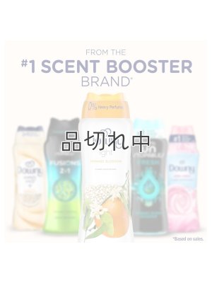 画像5: 【Downy/ダウニー】セントブースター(加香剤)24oz：Light オレンジブロッサム