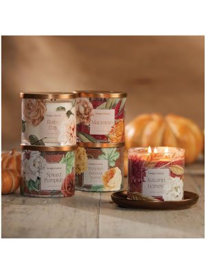 画像3: 【YANKEE CANDLE/ヤンキーキャンドル】3-wickキャンドル（14.5oz）：レイニーデイ