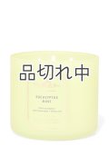 【Bath&BodyWorks】3-wickキャンドル（14.5oz）：ユーカリミント