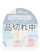 画像: 【YANKEE CANDLE/ヤンキーキャンドル】ワックスメルト：バハマブリーズ