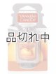 画像: 【YANKEE CANDLE】ネオカージャー：スパイスパンプキン