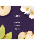 画像3: 【USファブリーズ】車用芳香剤(2個入り)：LUSH(ラッシュ)