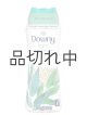 画像: 【Downy/ダウニー】セントブースター(加香剤)18.2oz：Light ウッドランドレイン