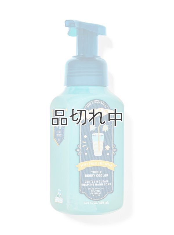 画像1: 【Bath&BodyWorks】フォーミングハンドソープ：トリプルベリークーラー