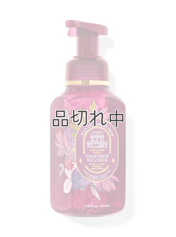 画像1: 【Bath&BodyWorks】フォーミングハンドソープ：Together Weather