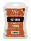 画像1: 【WoodWick/ウッドウィック】ワックスメルト6P入り(3oz)：パンプキンプラリネ